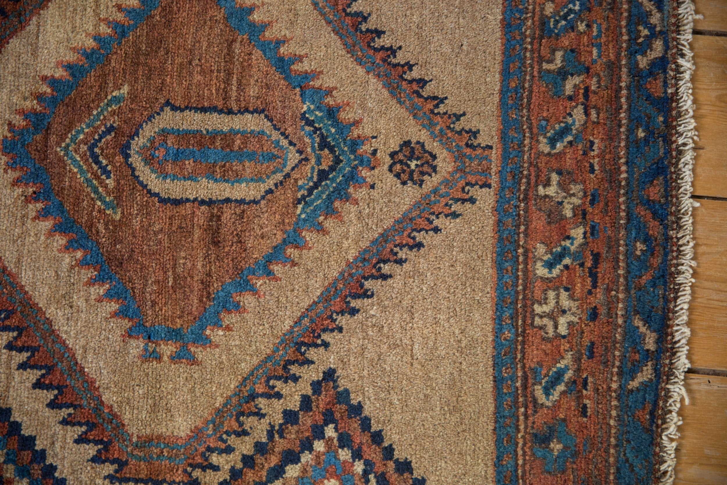 3x6 Antique Camel Hair Serab Rug Runner by Old New House® - product image 8 for Resin Society