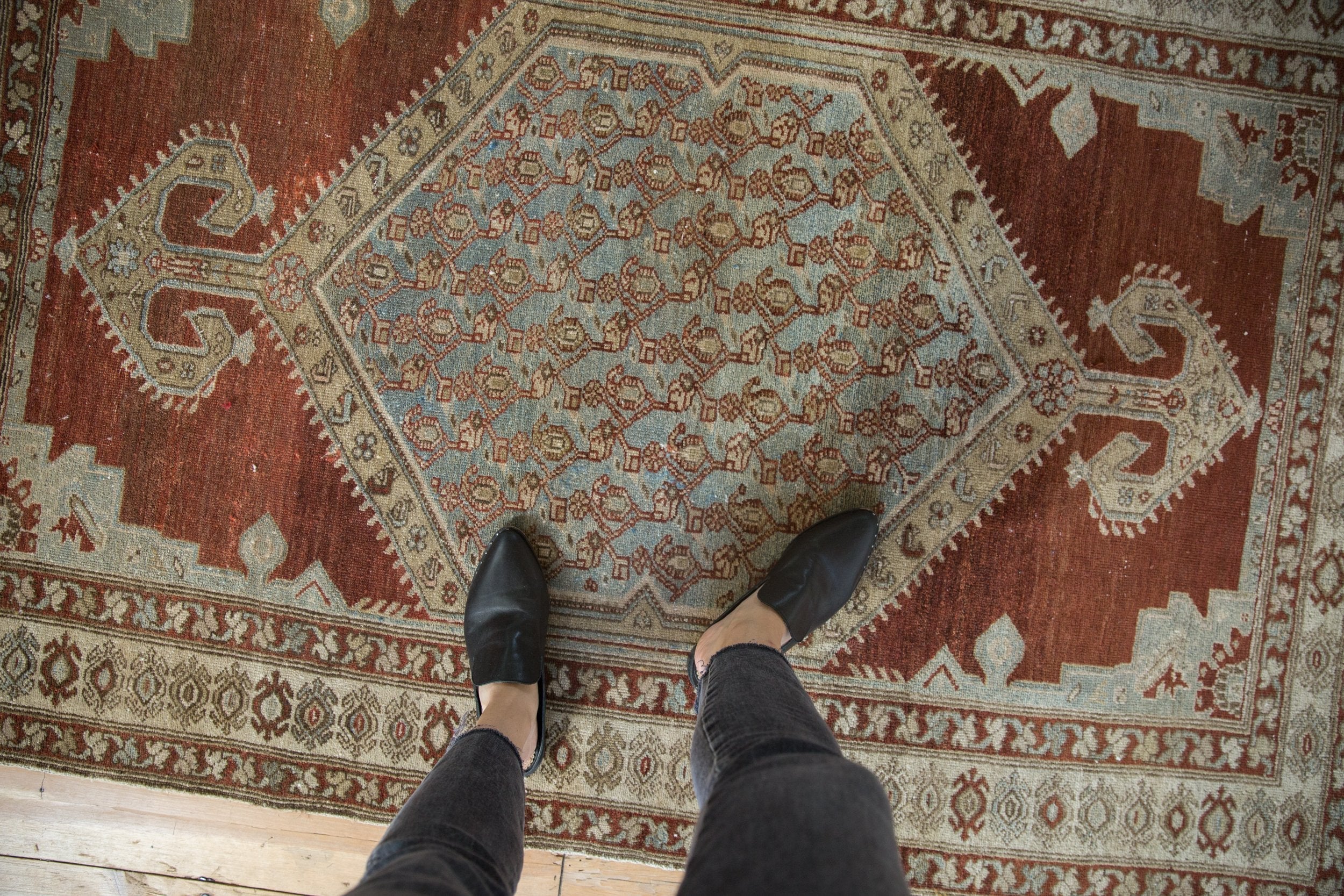 4x6 Vintage Distressed Malayer Rug by Old New House® - product image 2 for Resin Society