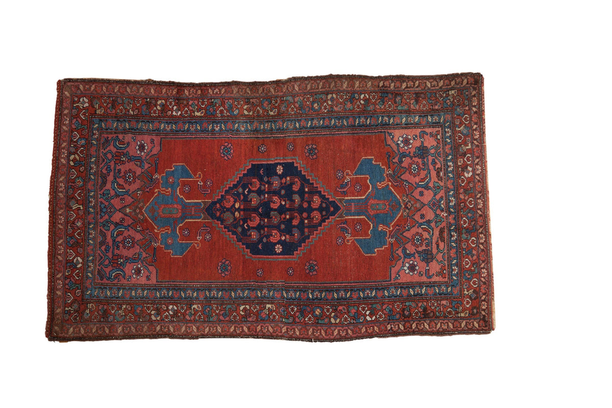 4x7 Vintage Kurdish Bijar Rug by Old New House® - main product image for Resin Society