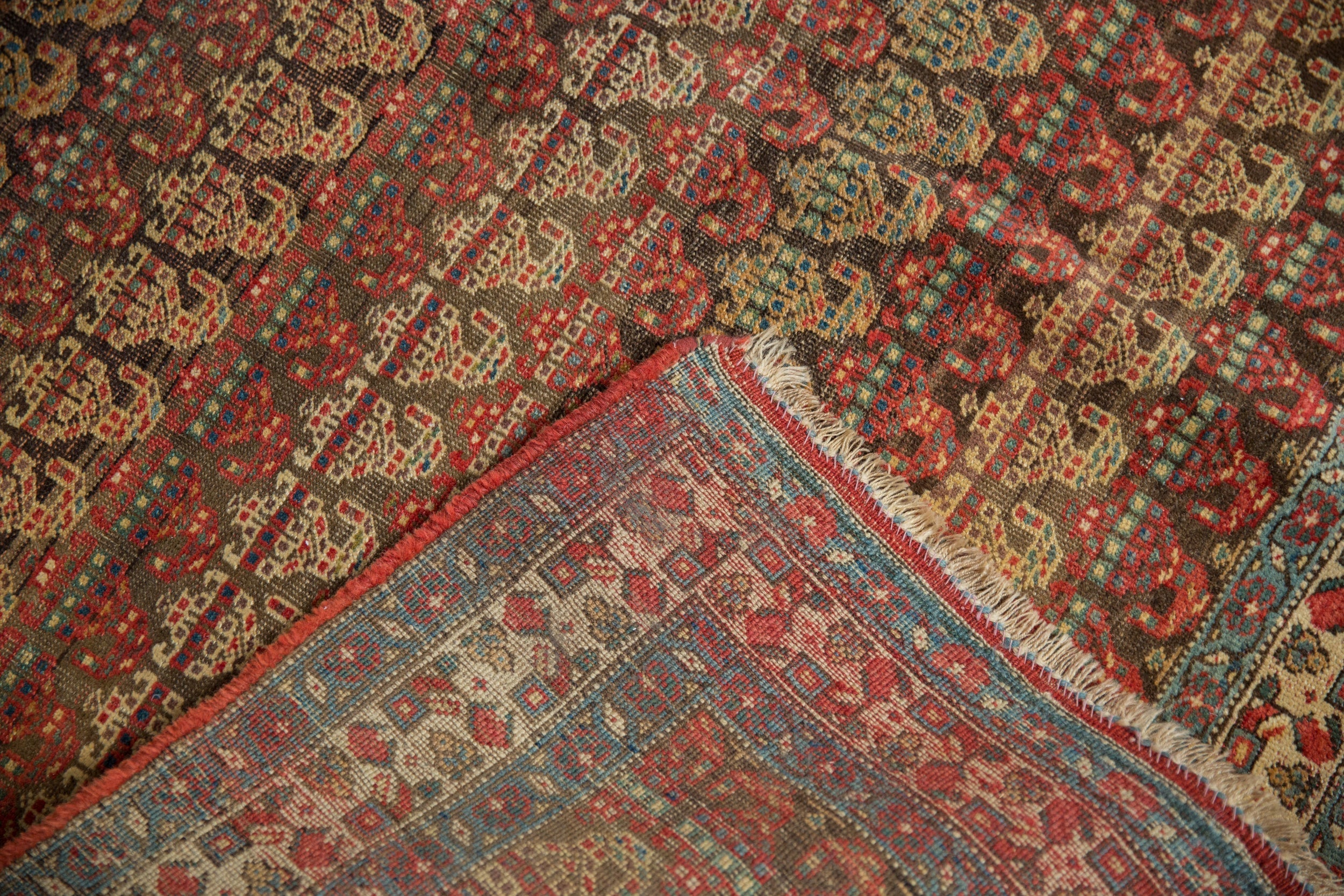 5.5x9 Antique Fine Bijar Carpet by Old New House® - product image 12 for Resin Society