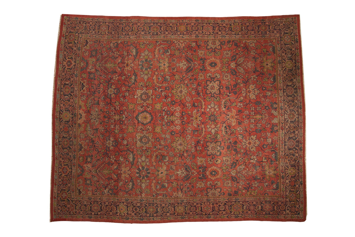 9x11 Vintage Mahal Carpet by Old New House® - main product image for Resin Society