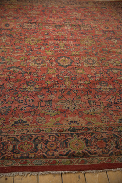 9x11 Vintage Mahal Carpet by Old New House® - product image 5 for Resin Society