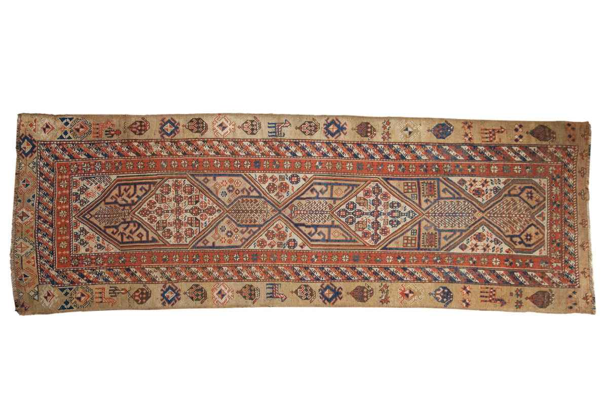 3.5x9.5 Antique Serab Rug Runner by Old New House® - main product image for Resin Society