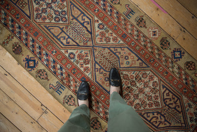 3.5x9.5 Antique Serab Rug Runner by Old New House® - product image 2 for Resin Society