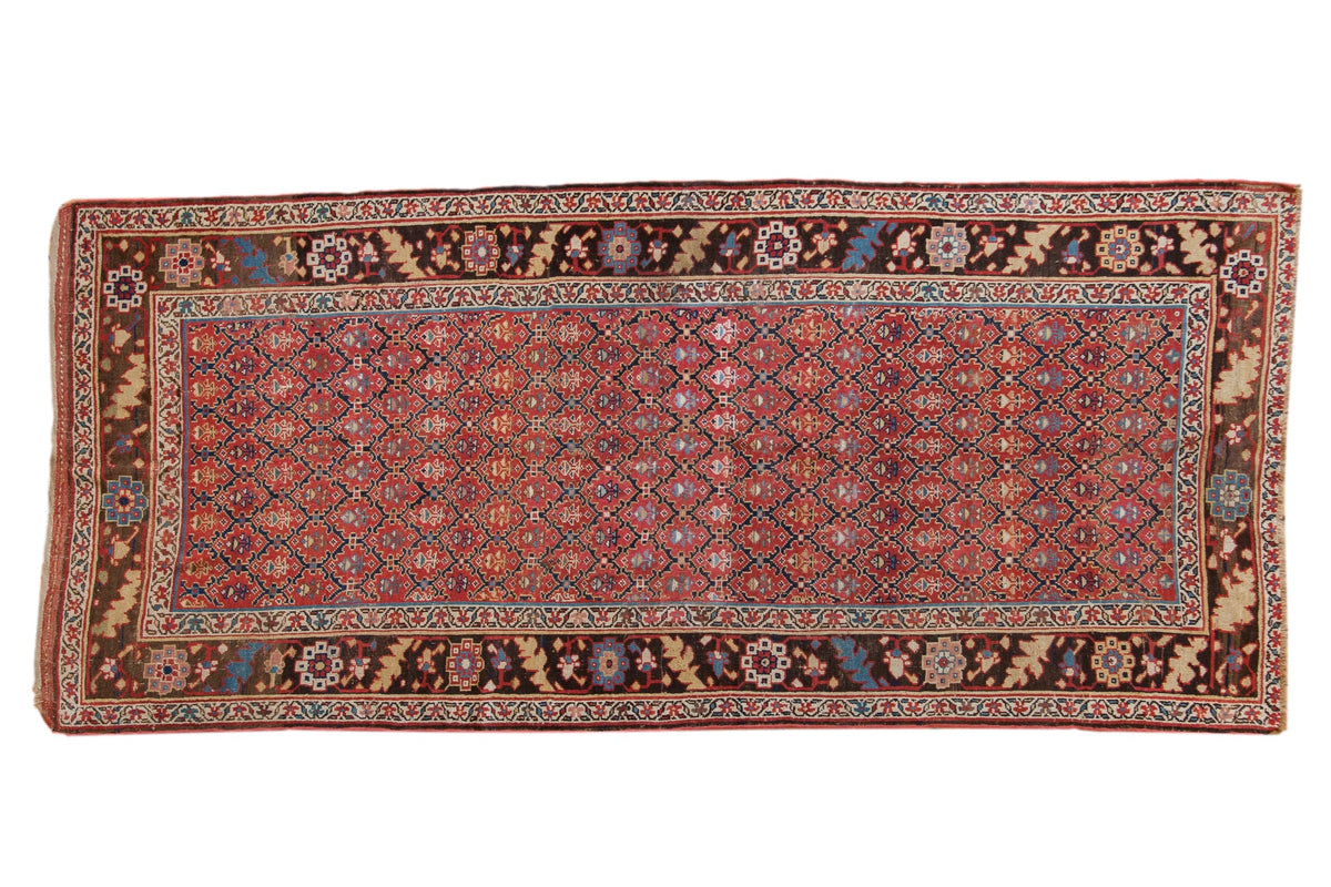 4.5x10.5 Antique Kurdish Rug Runner by Old New House® - main product image for Resin Society