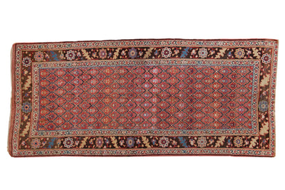 4.5x10.5 Antique Kurdish Rug Runner by Old New House® - main product image for Resin Society