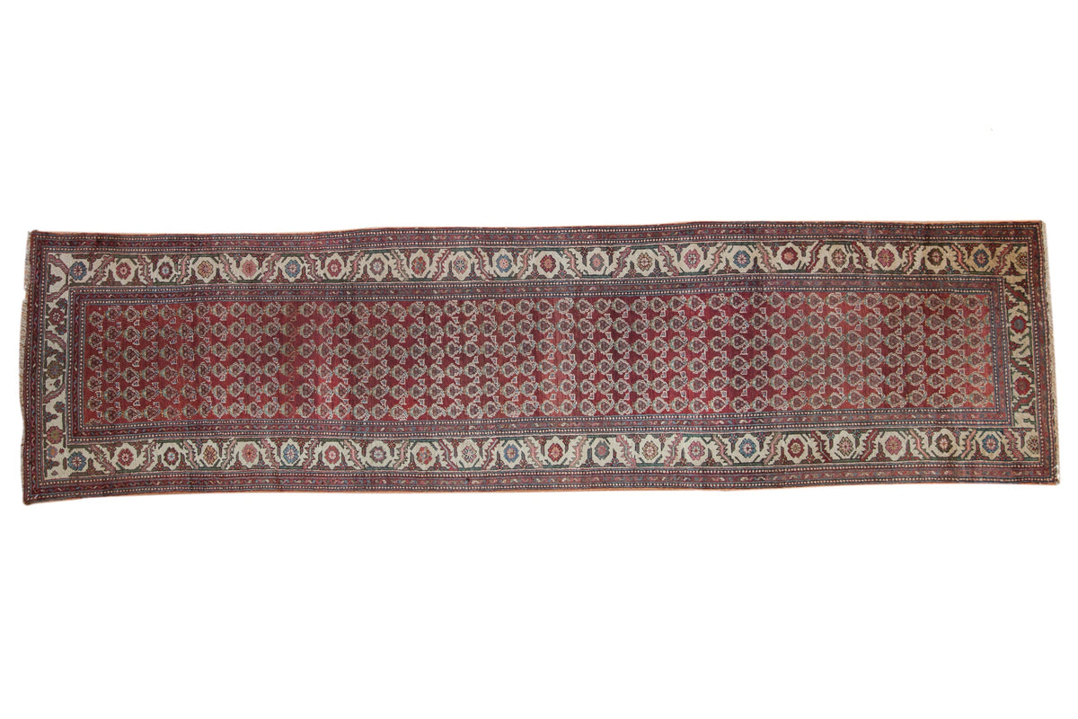 3.5x12 Vintage Hamadan Rug Runner by Old New House® - main product image for Resin Society