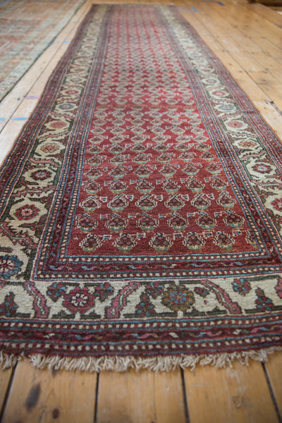 3.5x12 Vintage Hamadan Rug Runner by Old New House® - product image 8 for Resin Society