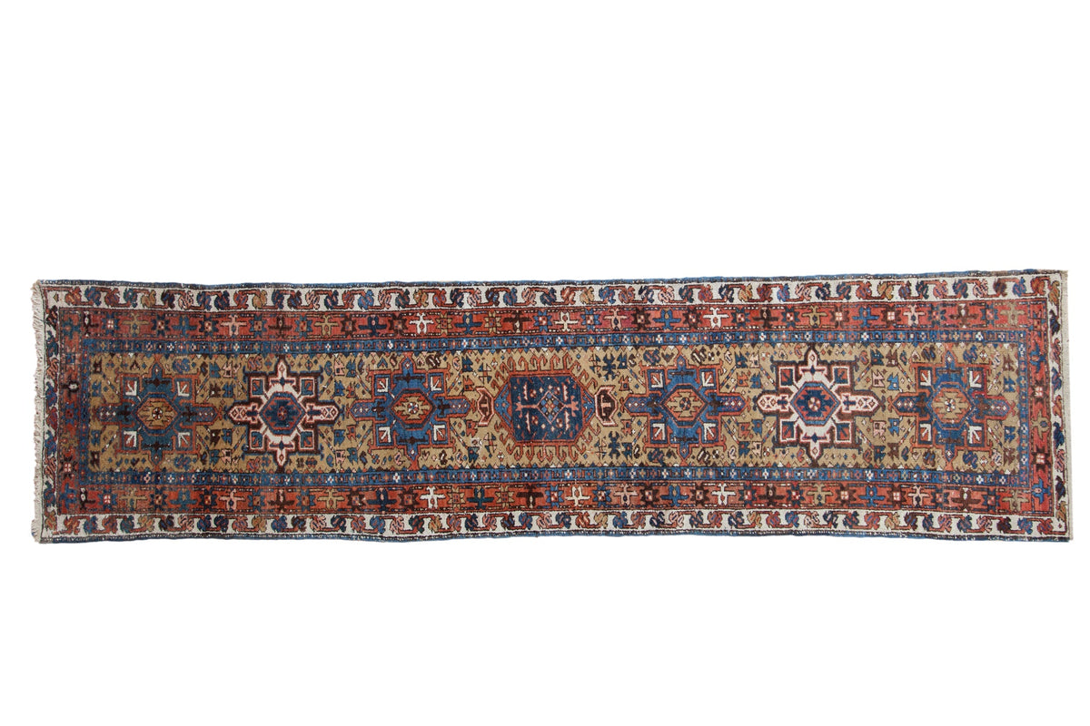 3x10.5 Vintage Karaja Rug Runner by Old New House® - main product image for Resin Society