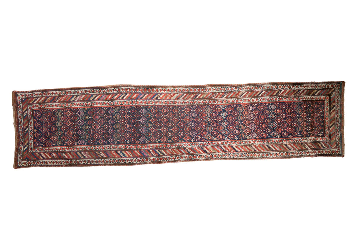 3.5x14.5 Vintage Kurdish Rug Runner by Old New House® - main product image for Resin Society