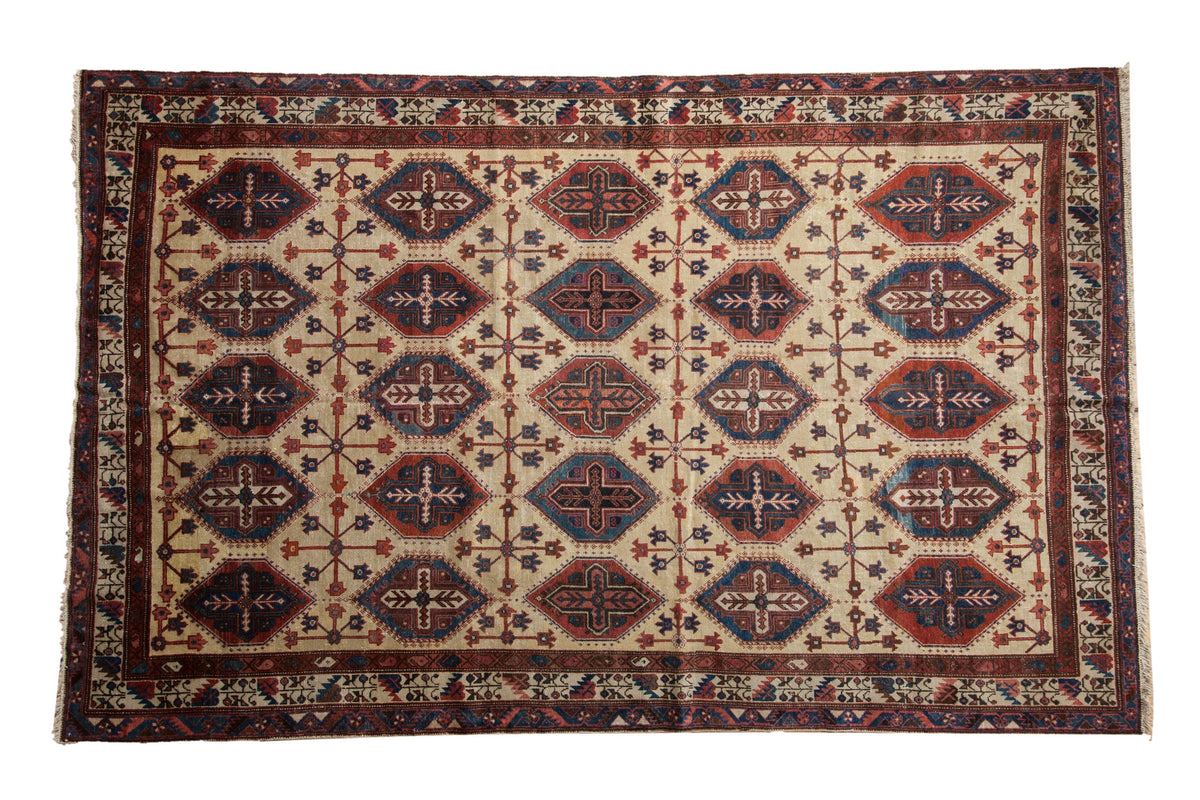 6.5x10.5 Vintage Northwest Persian Carpet by Old New House® - main product image for Resin Society