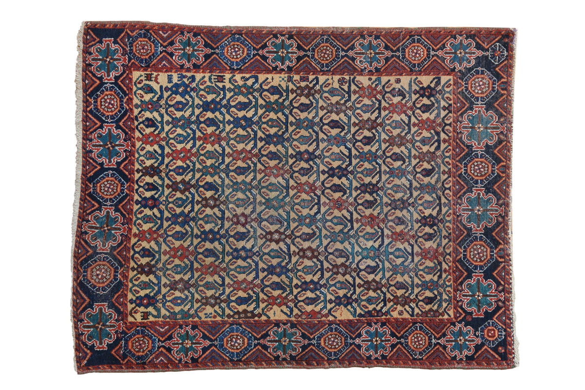 3.5x4.5 Antique Afshar Square Rug by Old New House® - main product image for Resin Society