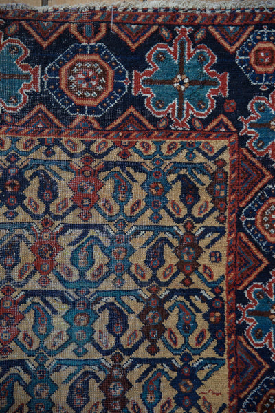 3.5x4.5 Antique Afshar Square Rug by Old New House® - product image 10 for Resin Society