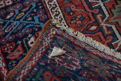 3x4.5 Vintage Karaja Rug by Old New House® - product image 10 for Resin Society