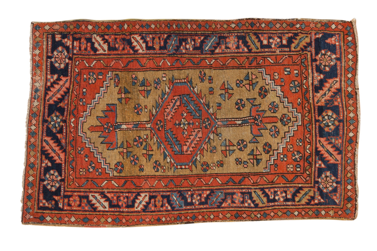 2.5x4.5 Antique Heriz Rug by Old New House® - main product image for Resin Society