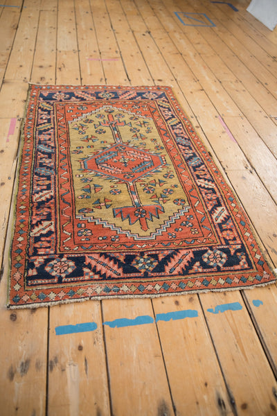 2.5x4.5 Antique Heriz Rug by Old New House® - product image 5 for Resin Society