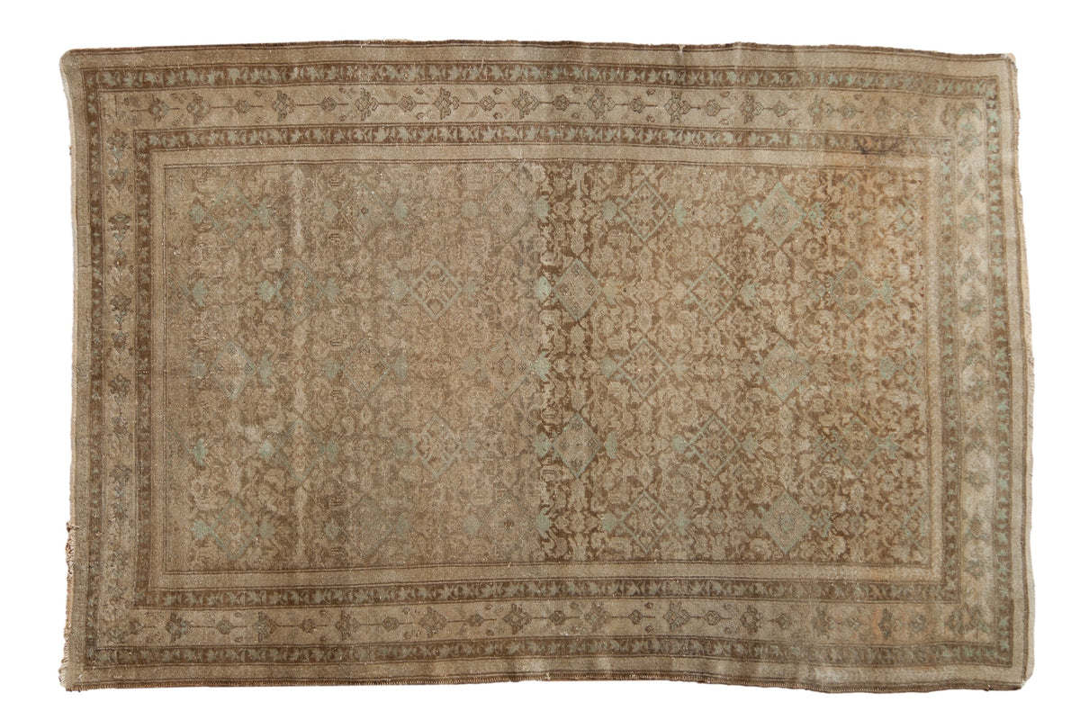 4x6.5 Antique Distressed Malayer Rug by Old New House® - main product image for Resin Society