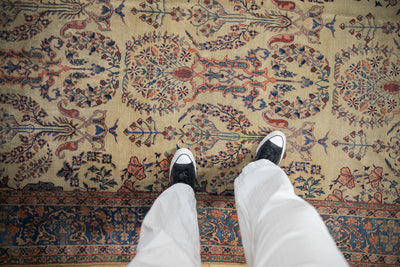 7x10 Antique Farahan Sarouk Carpet by Old New House® - product image 2 for Resin Society
