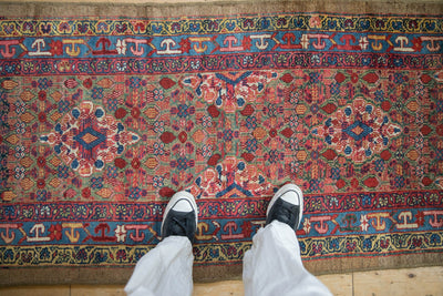 3x12.5 Antique Camel Hair Serab Rug Runner by Old New House® - product image 2 for Resin Society