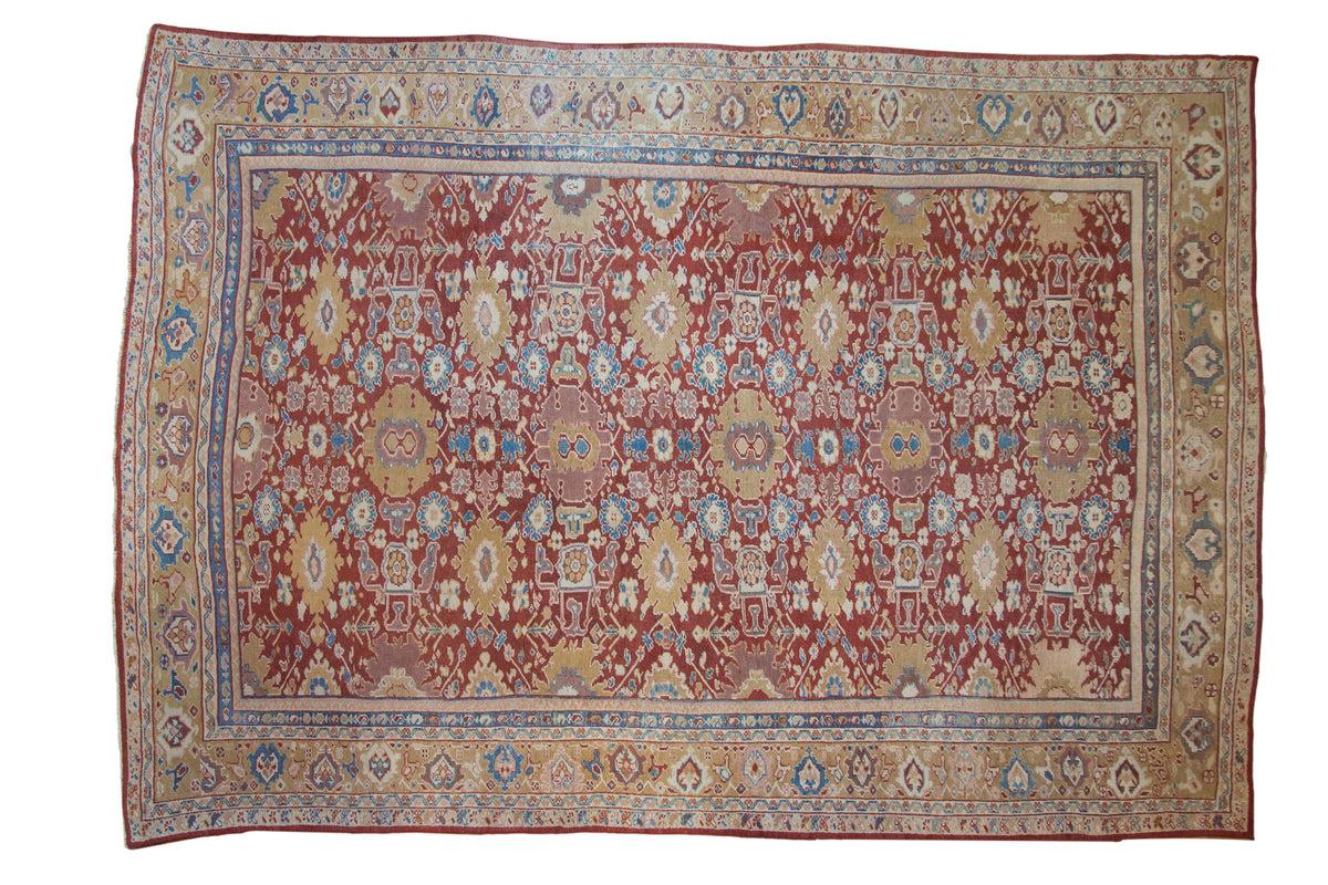 10x13.5 Antique Mahal Carpet by Old New House® - main product image for Resin Society