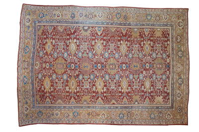 10x13.5 Antique Mahal Carpet by Old New House® - main product image for Resin Society