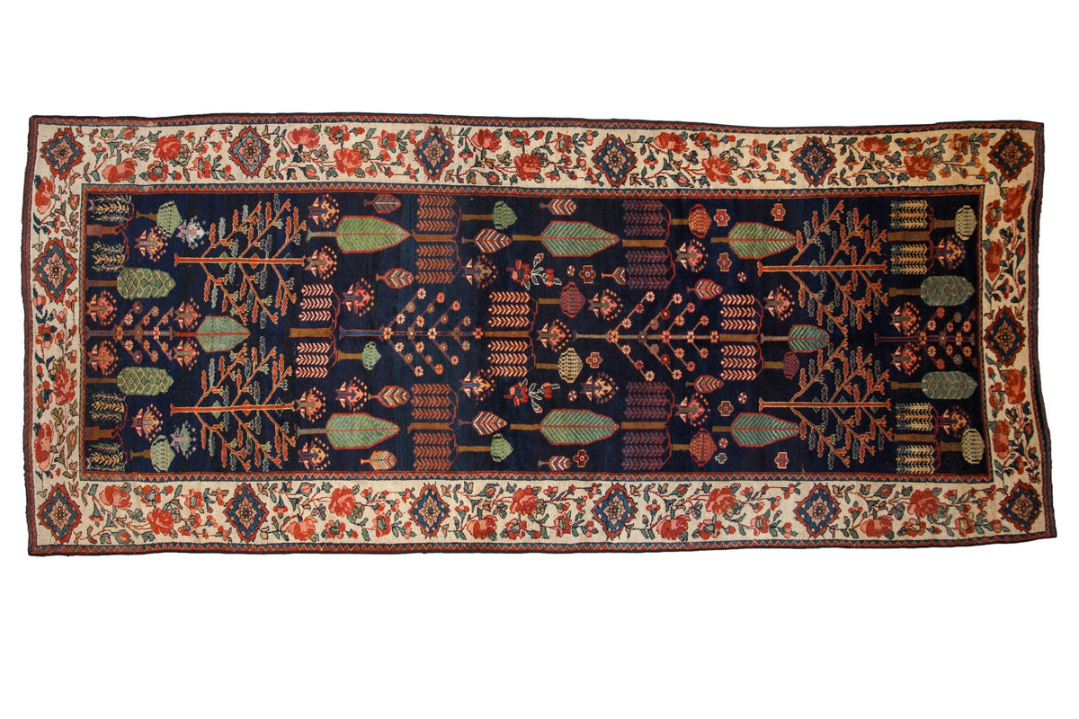 5.5x13 Vintage Baktiari Rug Runner by Old New House® - main product image for Resin Society