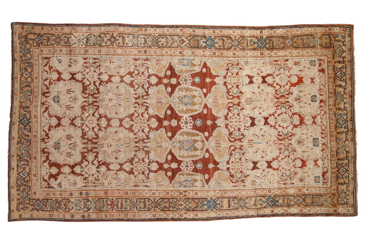 6.5x11.5 Vintage Bibikabad Carpet by Old New House® - main product image for Resin Society