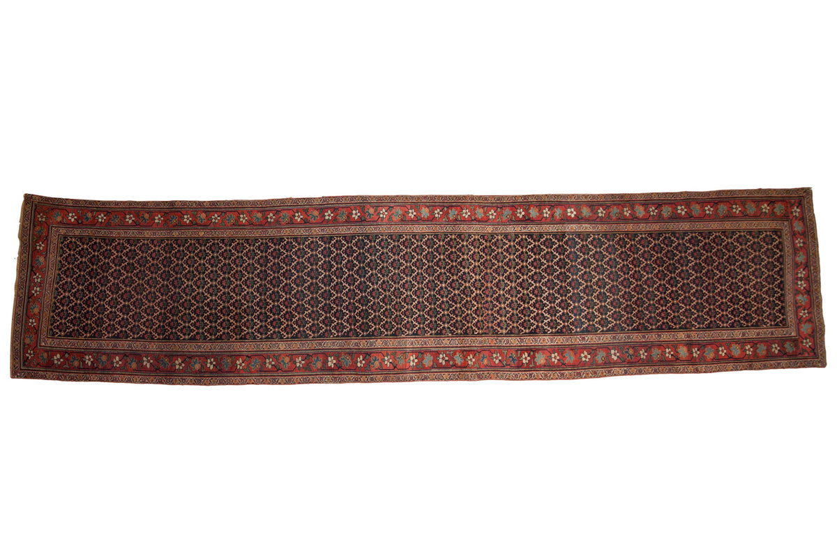 3.5x15 Antique Bijar Rug Runner by Old New House® - main product image for Resin Society