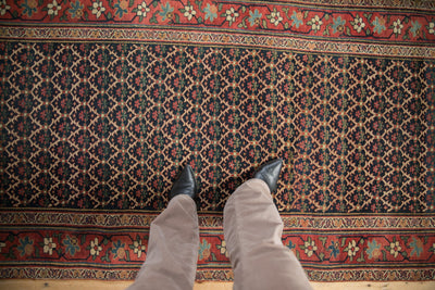 3.5x15 Antique Bijar Rug Runner by Old New House® - product image 2 for Resin Society