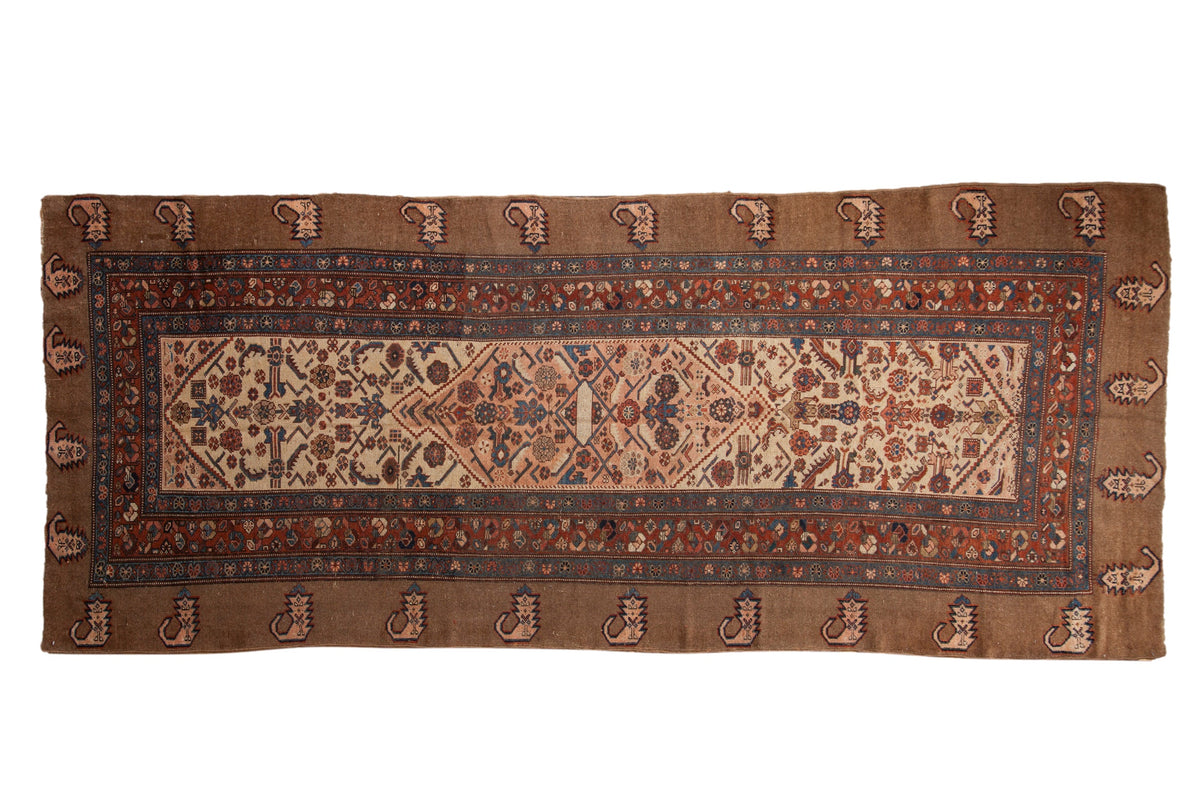 4.5x12 Antique Serab Rug Runner by Old New House® - main product image for Resin Society