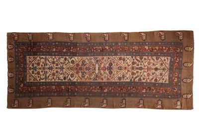 4.5x12 Antique Serab Rug Runner by Old New House® - main product image for Resin Society