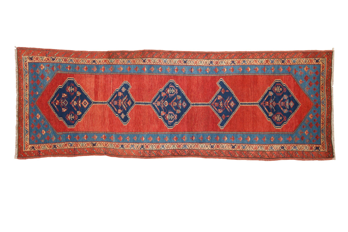 3.5x10 Antique Bakshaish Rug Runner by Old New House® - main product image for Resin Society
