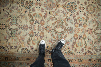 10x12 Antique Mahal Carpet by Old New House® - product image 2 for Resin Society