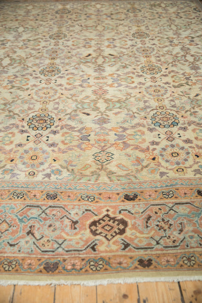 10x12 Antique Mahal Carpet by Old New House® - product image 5 for Resin Society