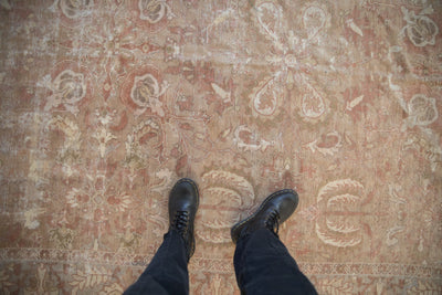 7x8.5 Antique Distressed Sultanabad Carpet by Old New House® - product image 2 for Resin Society
