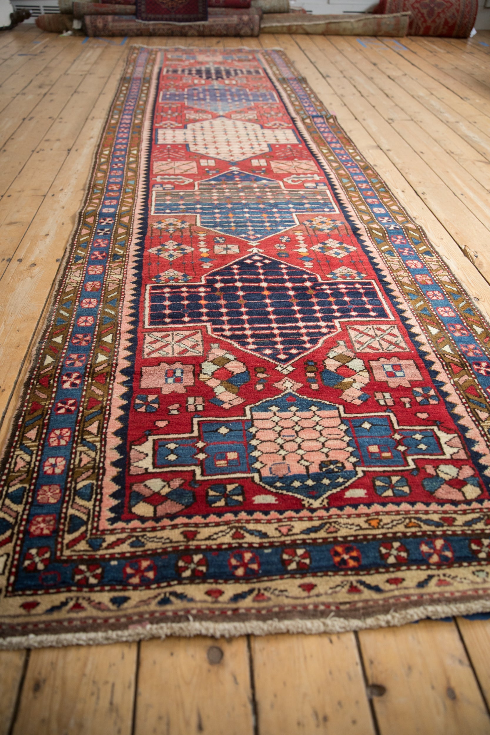 3.5x12.5 Vintage Baktiari Rug Runner by Old New House® - product image 4 for Resin Society