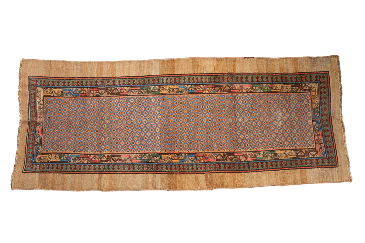 3.5x8.5 Antique Serab Rug Runner by Old New House® - main product image for Resin Society