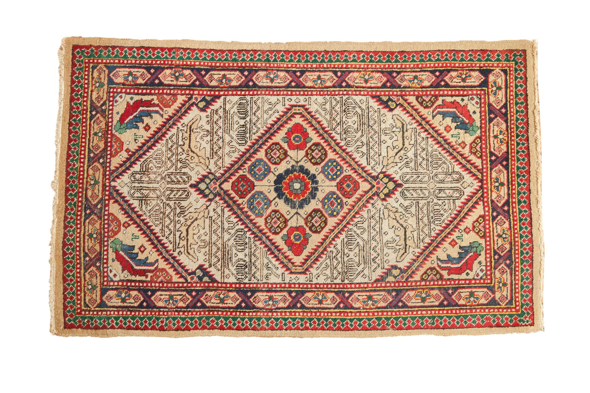 2.5x4.5 Vintage Serab Rug by Old New House® - main product image for Resin Society