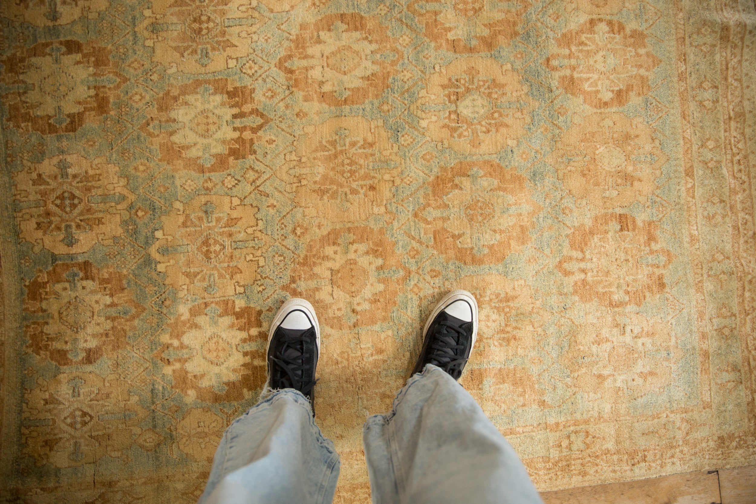4x6 Vintage Distressed Afshar Rug by Old New House® - product image 2 for Resin Society