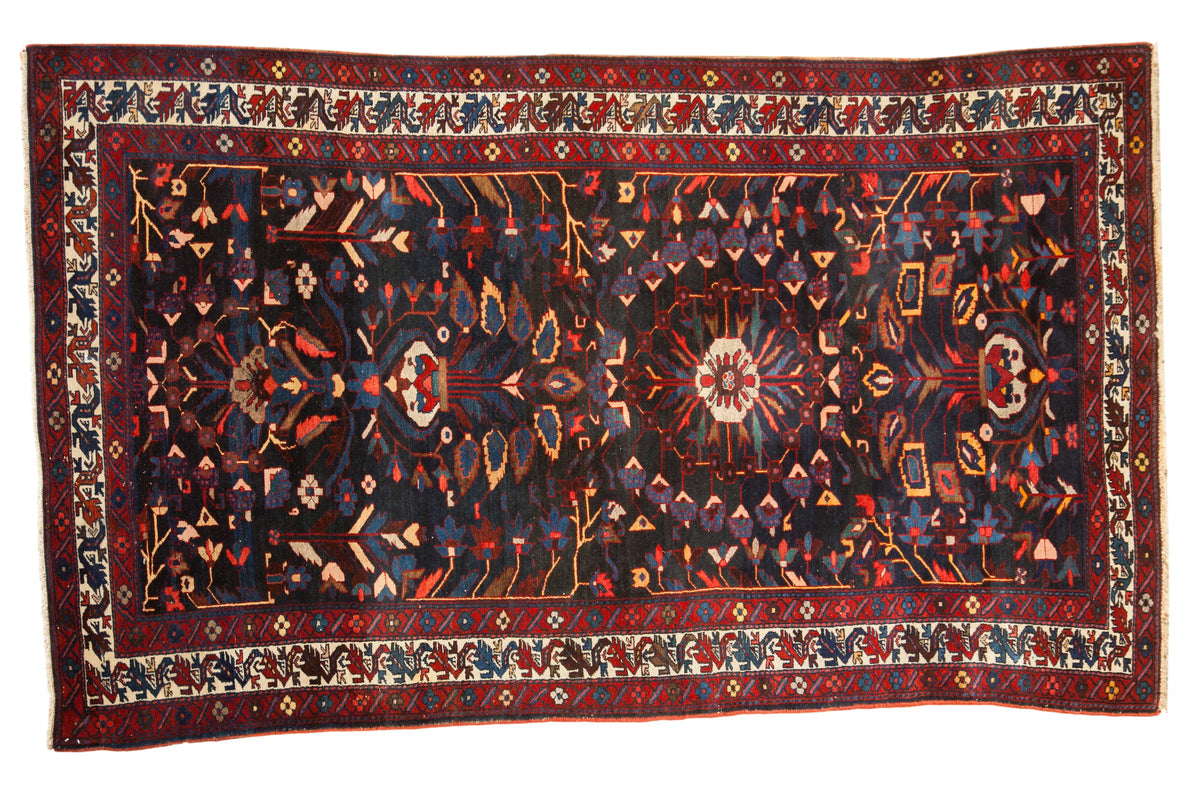 5.5x9 Vintage Bakhtiari Carpet by Old New House® - main product image for Resin Society