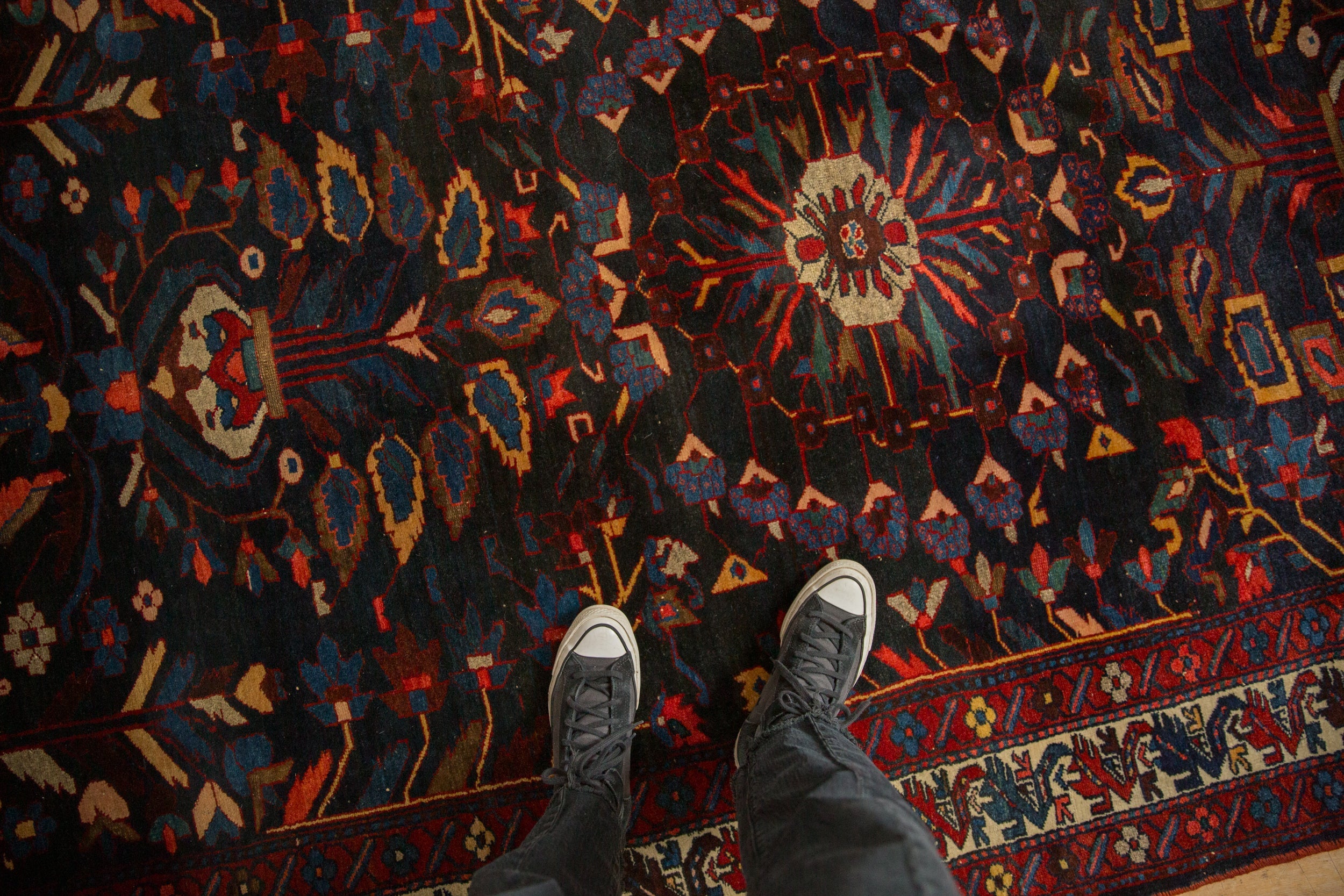 5.5x9 Vintage Bakhtiari Carpet by Old New House® - product image 2 for Resin Society