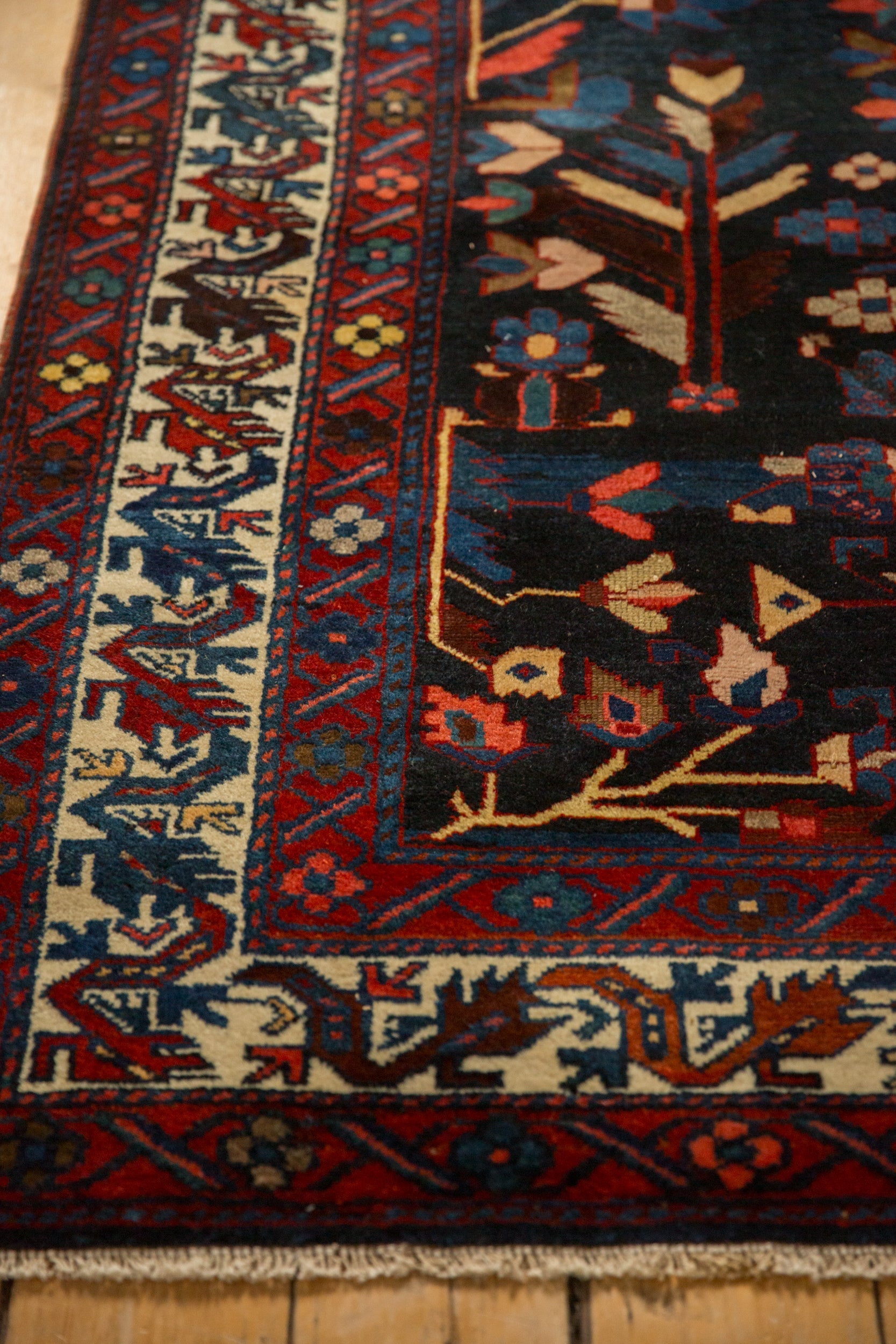 5.5x9 Vintage Bakhtiari Carpet by Old New House® - product image 10 for Resin Society