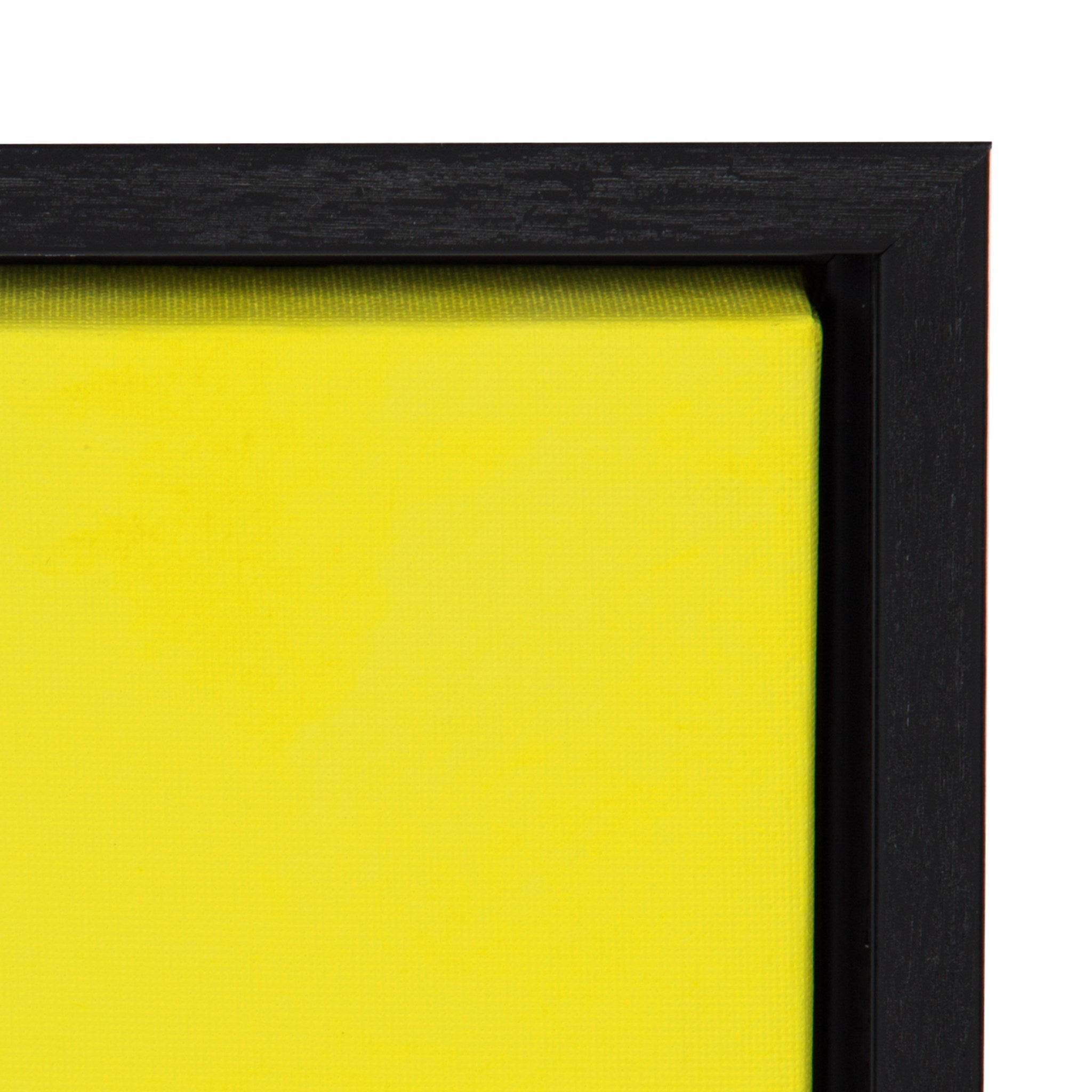 Sylvie Frida Framed Canvas By Mia Charro by kateandlaurel - product image 3 for Resin Society