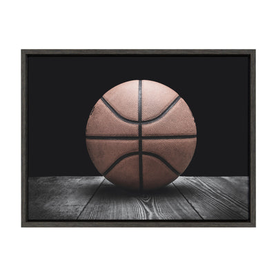 Sylvie Vintage Basketball Framed Canvas by kateandlaurel - main product image for Resin Society