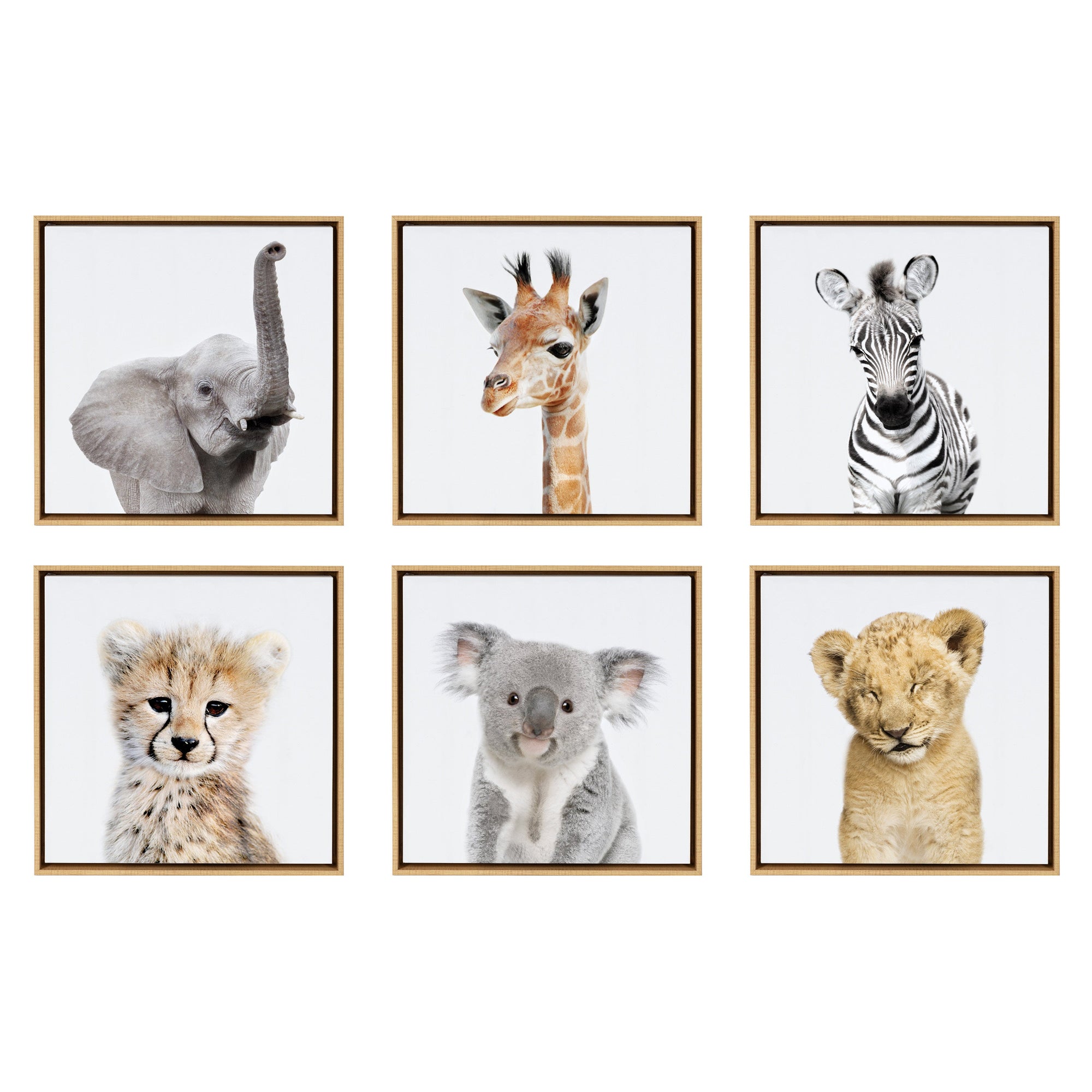 Sylvie Safari Animal Framed Canvas Art Set by Amy Peterson by kateandlaurel - main product image for Resin Society