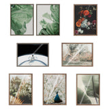 Sylvie Plant Study 6 and Plant Study 7 Framed Canvas Set by Alicia Abla by kateandlaurel - product image 4 for Resin Society