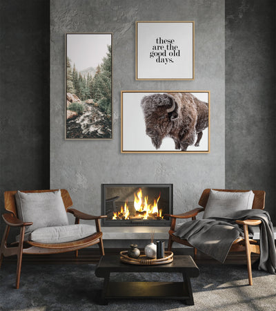 Sylvie Bison in Snow Framed Canvas by Amy Peterson Art Studio
