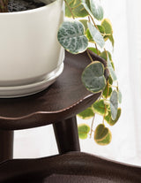 Close-up of a dark textured metal plant stand with a scalloped edge holding a white pot and trailing heart-shaped green and silver variegated leaves.