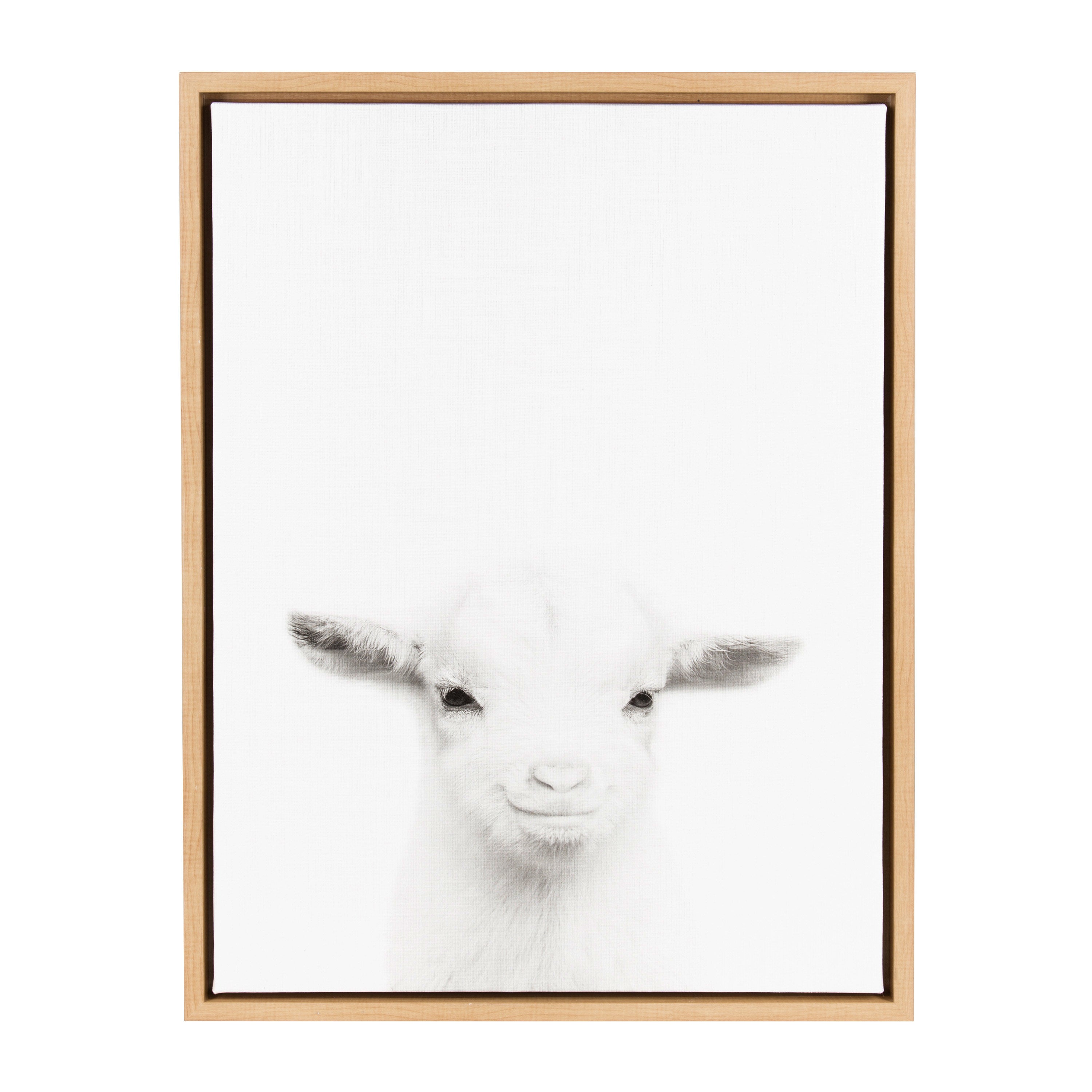 Sylvie Baby Goat Framed Canvas by Simon Te Tai by kateandlaurel - product image 14 for Resin Society