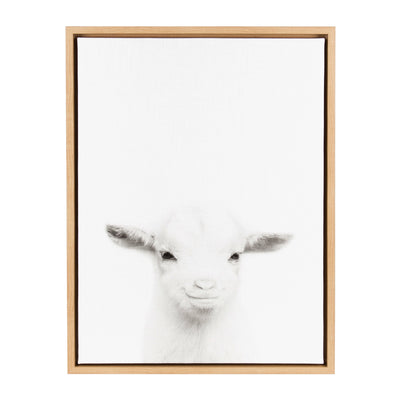 Sylvie Baby Goat Framed Canvas by Simon Te Tai by kateandlaurel - product image 14 for Resin Society